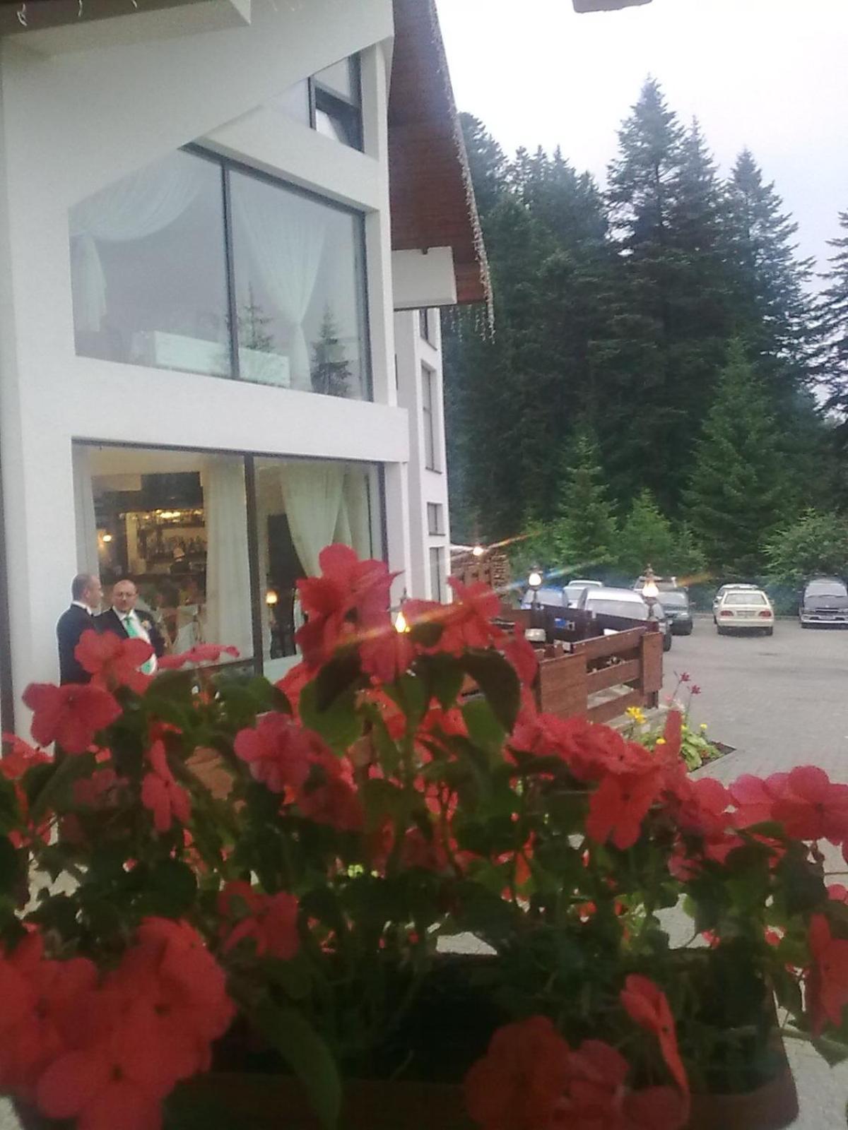 Pension Perla Bucovinei Воронец Екстер'єр фото